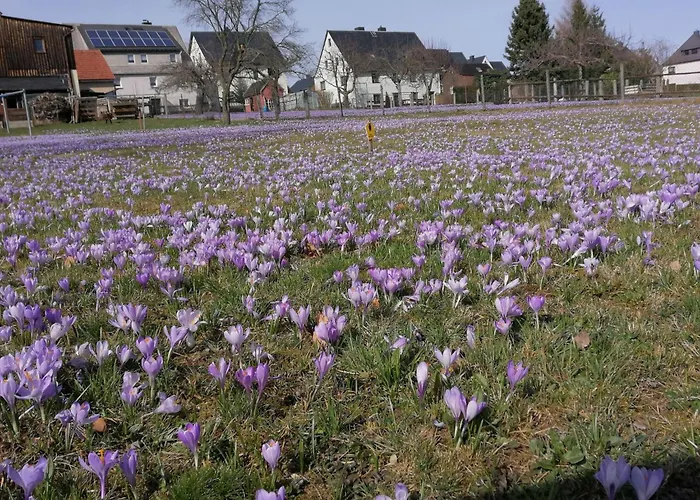 Nyaraló Ziller By Interhome Rottendorf