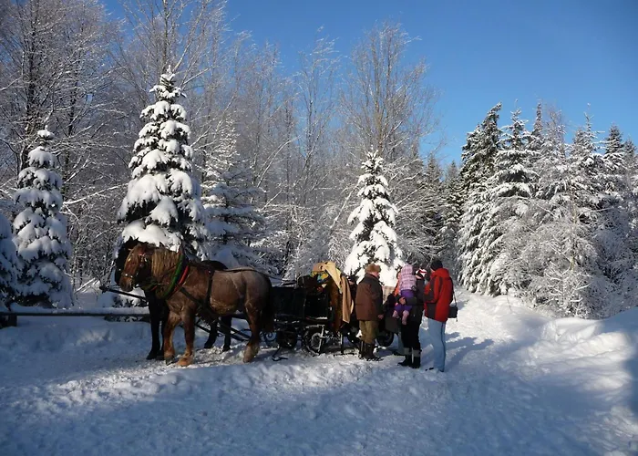 Ziller By Interhome Rottendorf